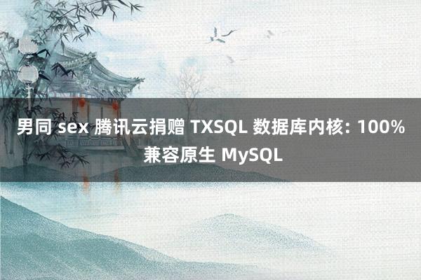 男同 sex 腾讯云捐赠 TXSQL 数据库内核: 100% 兼容原生 MySQL