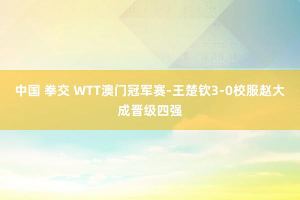 中国 拳交 WTT澳门冠军赛-王楚钦3-0校服赵大成晋级四强