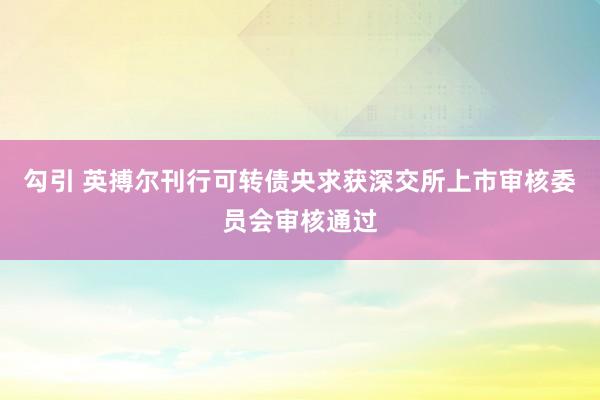 勾引 英搏尔刊行可转债央求获深交所上市审核委员会审核通过