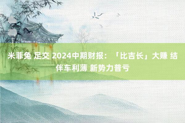 米菲兔 足交 2024中期财报：「比吉长」大赚 结伴车利薄 新势力普亏