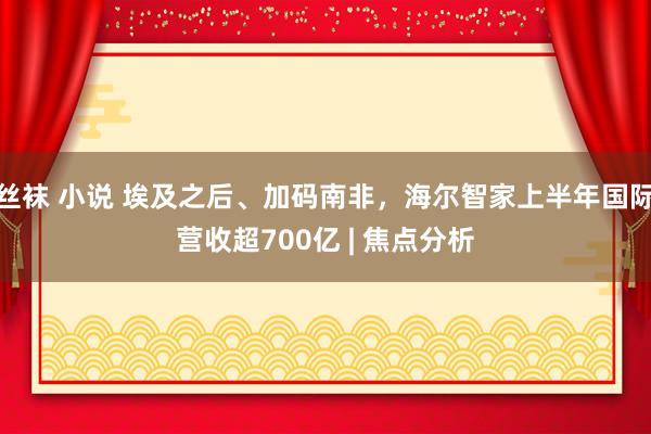 丝袜 小说 埃及之后、加码南非，海尔智家上半年国际营收超700亿 | 焦点分析