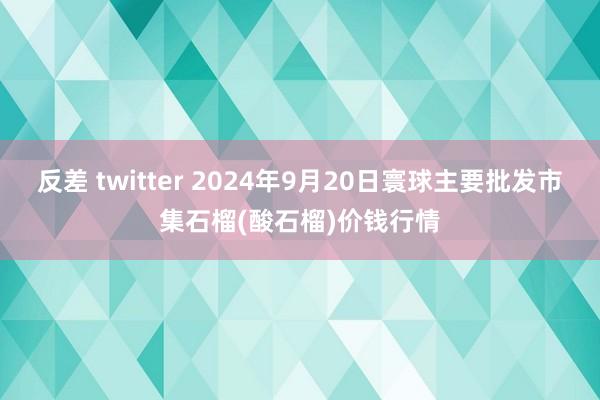 反差 twitter 2024年9月20日寰球主要批发市集石榴(酸石榴)价钱行情