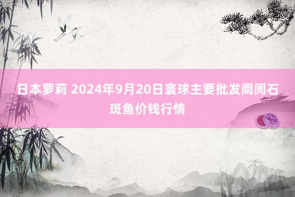 日本萝莉 2024年9月20日寰球主要批发阛阓石斑鱼价钱行情