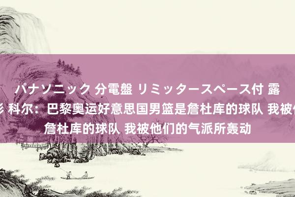 パナソニック 分電盤 リミッタースペース付 露出・半埋込両用形 科尔：巴黎奥运好意思国男篮是詹杜库的球队 我被他们的气派所轰动