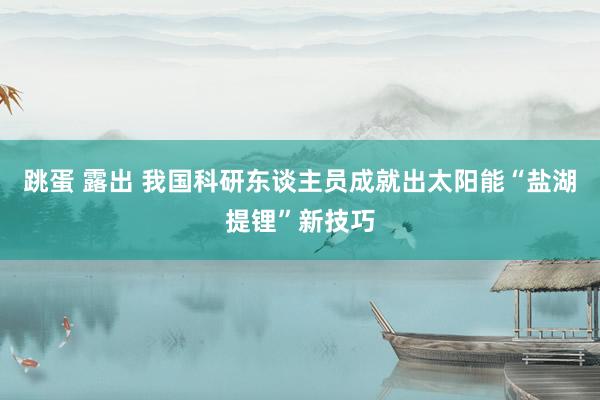 跳蛋 露出 我国科研东谈主员成就出太阳能“盐湖提锂”新技巧