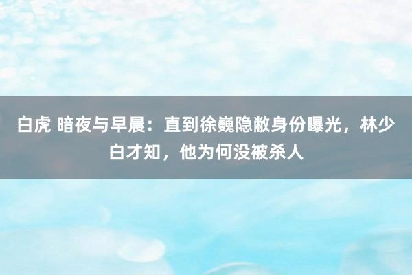 白虎 暗夜与早晨：直到徐巍隐敝身份曝光，林少白才知，他为何没被杀人