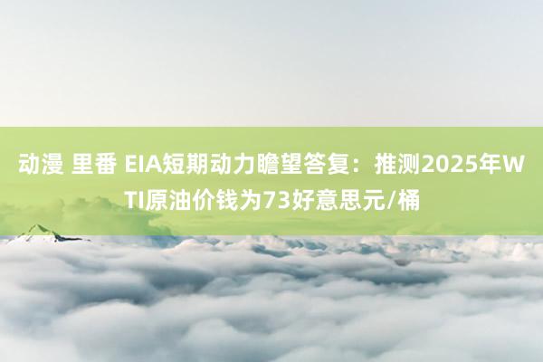 动漫 里番 EIA短期动力瞻望答复：推测2025年WTI原油价钱为73好意思元/桶