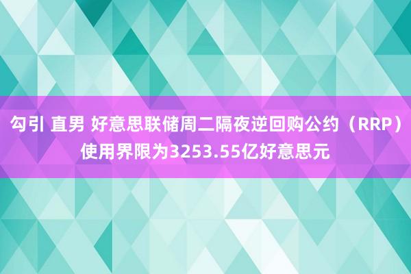 勾引 直男 好意思联储周二隔夜逆回购公约（RRP）使用界限为3253.55亿好意思元