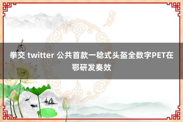 拳交 twitter 公共首款一稔式头盔全数字PET在鄂研发奏效