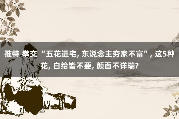 推特 拳交 “五花进宅， 东说念主穷家不富”， 这5种花， 白给皆不要， 颜面不详瑞?