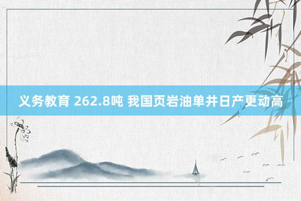 义务教育 262.8吨 我国页岩油单井日产更动高