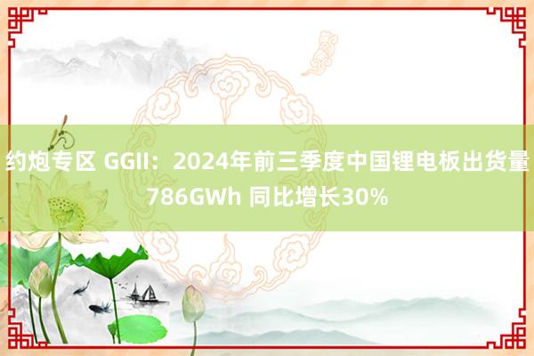 约炮专区 GGII：2024年前三季度中国锂电板出货量786GWh 同比增长30%