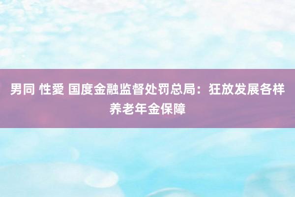 男同 性愛 国度金融监督处罚总局：狂放发展各样养老年金保障