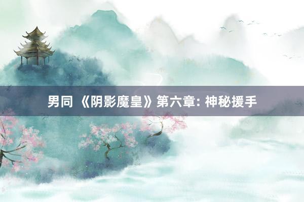 男同 《阴影魔皇》第六章: 神秘援手