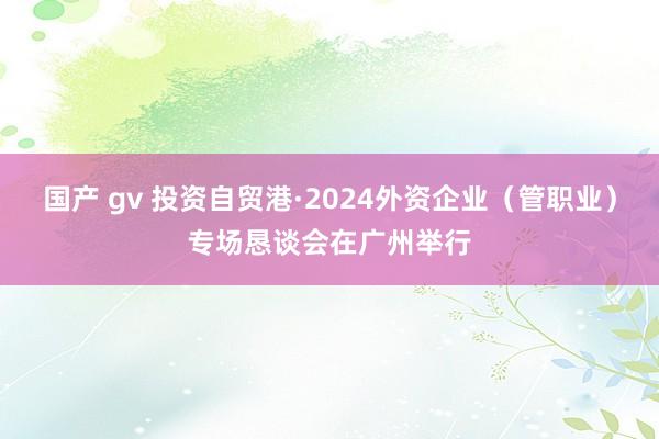 国产 gv 投资自贸港·2024外资企业（管职业）专场恳谈会在广州举行