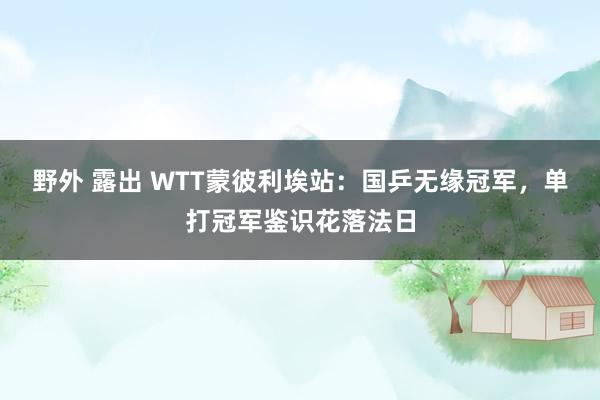 野外 露出 WTT蒙彼利埃站：国乒无缘冠军，单打冠军鉴识花落法日