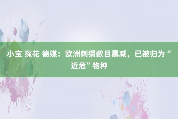 小宝 探花 德媒：欧洲刺猬数目暴减，已被归为“近危”物种