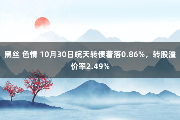 黑丝 色情 10月30日皖天转债着落0.86%，转股溢价率2.49%