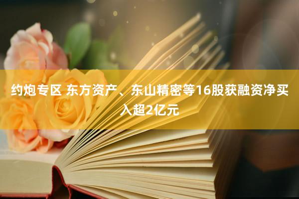 约炮专区 东方资产、东山精密等16股获融资净买入超2亿元