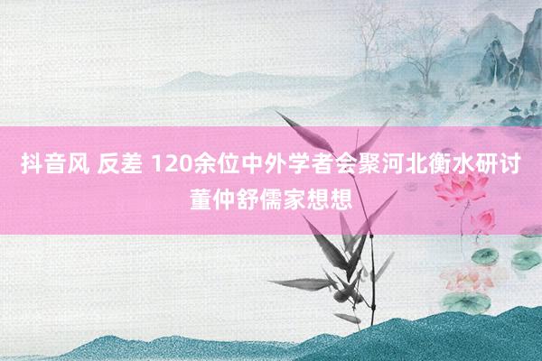 抖音风 反差 120余位中外学者会聚河北衡水研讨董仲舒儒家想想