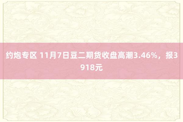 约炮专区 11月7日豆二期货收盘高潮3.46%，报3918元