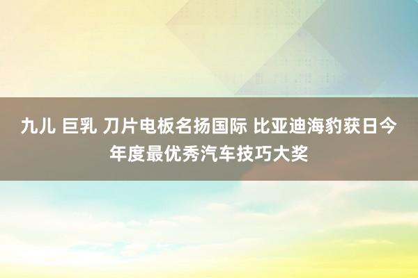 九儿 巨乳 刀片电板名扬国际 比亚迪海豹获日今年度最优秀汽车技巧大奖