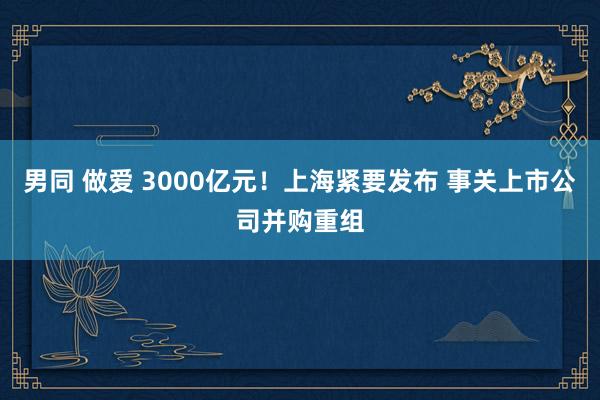 男同 做爱 3000亿元！上海紧要发布 事关上市公司并购重组