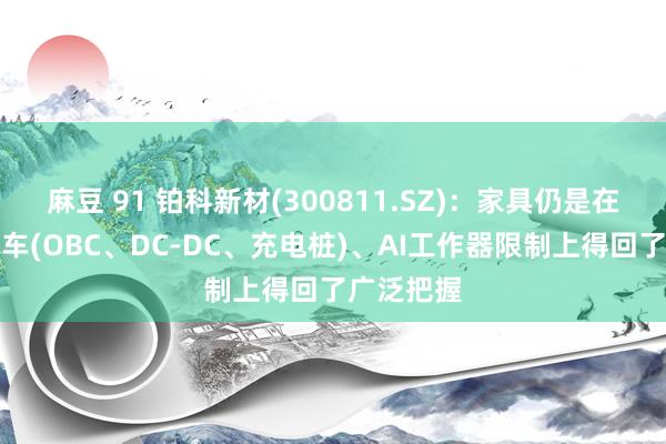 麻豆 91 铂科新材(300811.SZ)：家具仍是在新动力汽车(OBC、DC-DC、充电桩)、AI工作器限制上得回了广泛把握