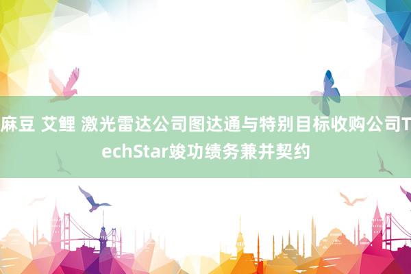 麻豆 艾鲤 激光雷达公司图达通与特别目标收购公司TechStar竣功绩务兼并契约