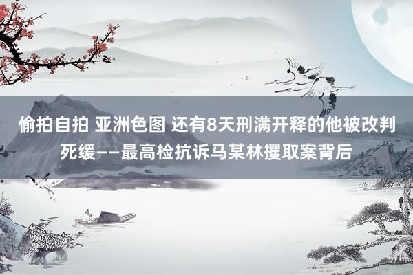 偷拍自拍 亚洲色图 还有8天刑满开释的他被改判死缓——最高检抗诉马某林攫取案背后