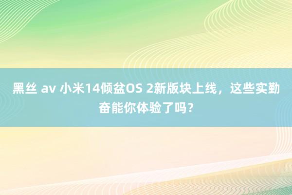 黑丝 av 小米14倾盆OS 2新版块上线，这些实勤奋能你体验了吗？