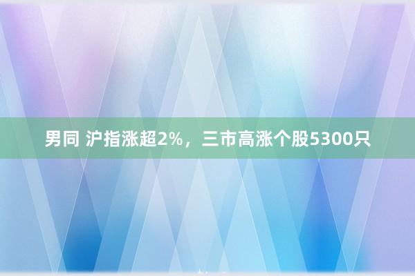 男同 沪指涨超2%，三市高涨个股5300只