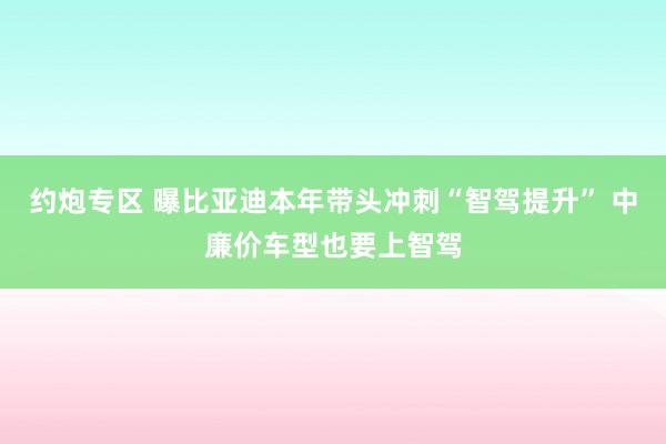 约炮专区 曝比亚迪本年带头冲刺“智驾提升” 中廉价车型也要上智驾