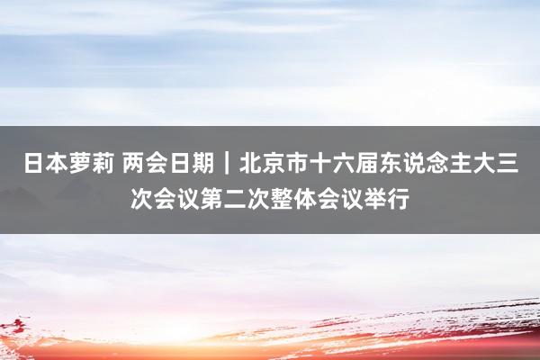 日本萝莉 两会日期｜北京市十六届东说念主大三次会议第二次整体会议举行